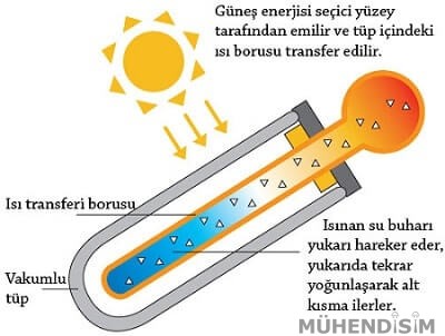 Vakumlu Tüp Kesit Görüntüsü