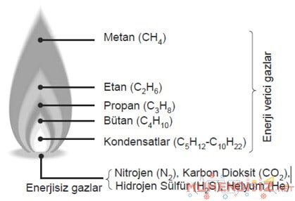 Doğalgaz Bileşenleri