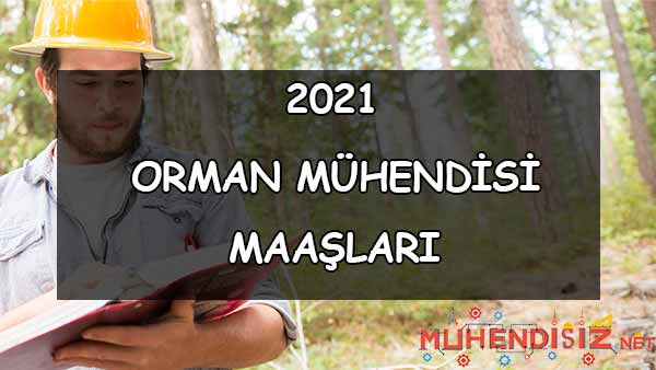 Orman Mühendisi Maaşları Nedir? (2021)